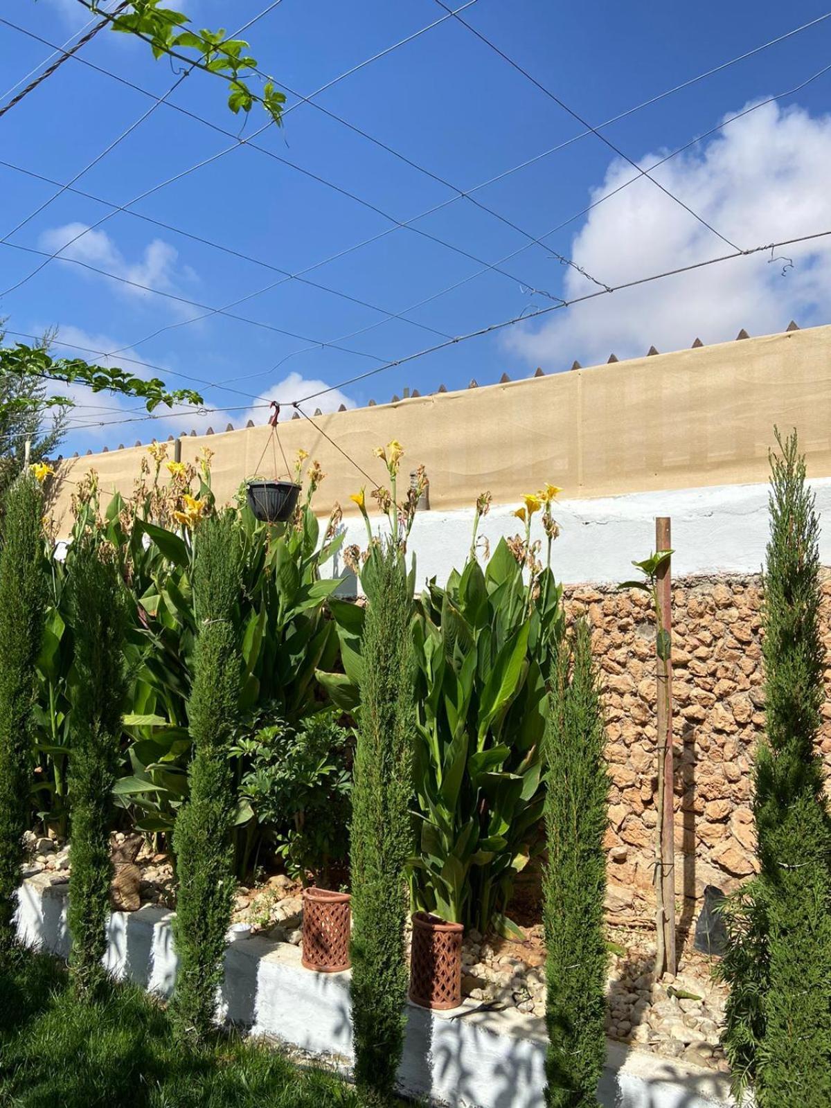 Simple Home Madaba Ngoại thất bức ảnh